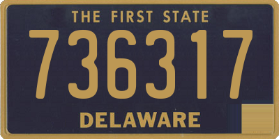DE license plate 736317