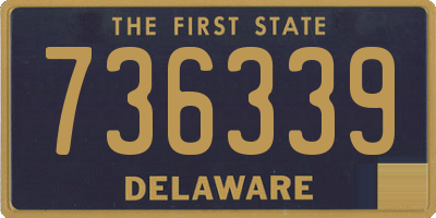DE license plate 736339