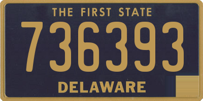 DE license plate 736393