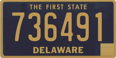DE license plate 736491
