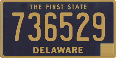 DE license plate 736529