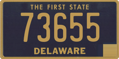 DE license plate 73655