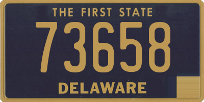 DE license plate 73658