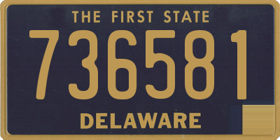 DE license plate 736581