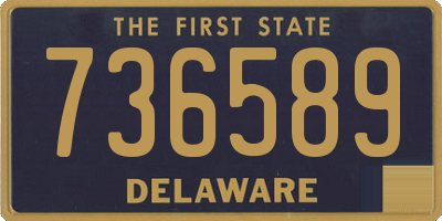 DE license plate 736589