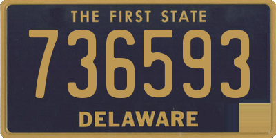 DE license plate 736593
