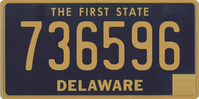 DE license plate 736596