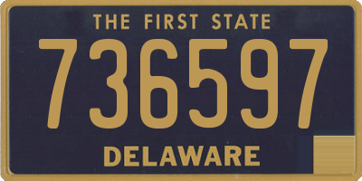 DE license plate 736597