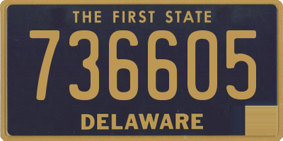 DE license plate 736605