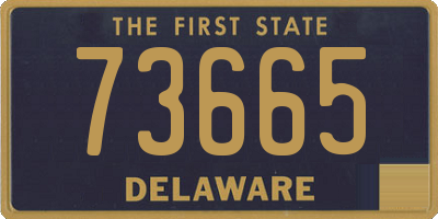DE license plate 73665