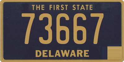DE license plate 73667