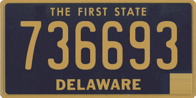 DE license plate 736693