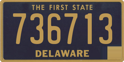 DE license plate 736713