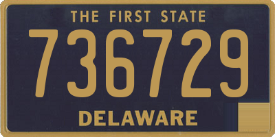 DE license plate 736729