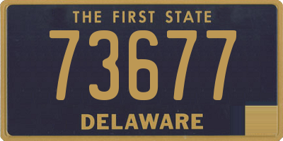 DE license plate 73677