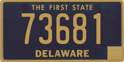 DE license plate 73681