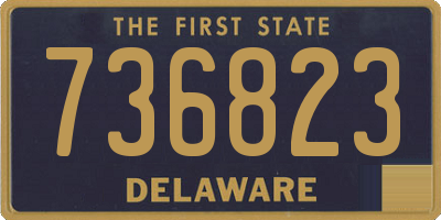 DE license plate 736823