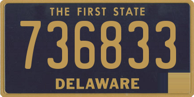 DE license plate 736833
