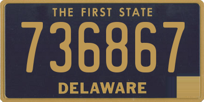 DE license plate 736867