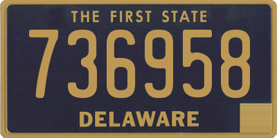 DE license plate 736958