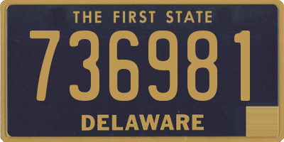 DE license plate 736981