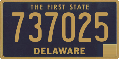 DE license plate 737025
