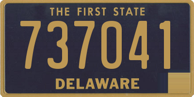 DE license plate 737041
