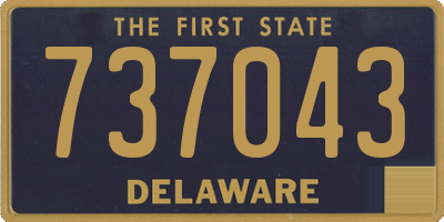 DE license plate 737043