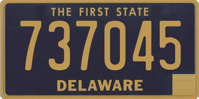 DE license plate 737045