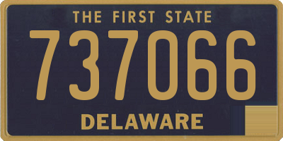 DE license plate 737066