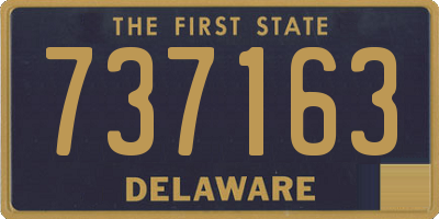 DE license plate 737163
