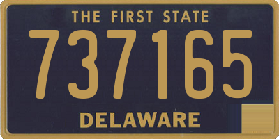 DE license plate 737165