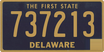 DE license plate 737213