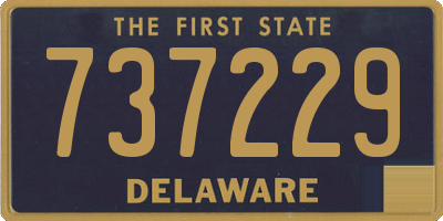 DE license plate 737229