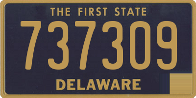 DE license plate 737309