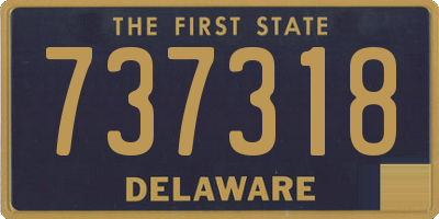 DE license plate 737318