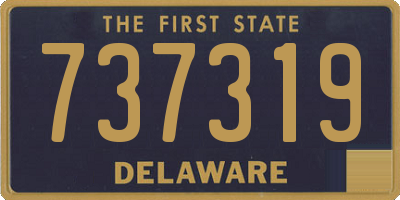 DE license plate 737319