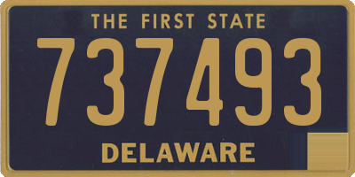 DE license plate 737493