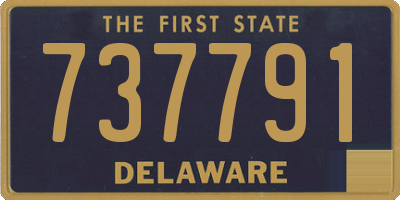 DE license plate 737791