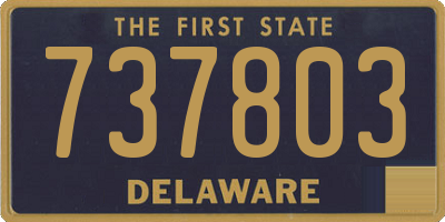 DE license plate 737803