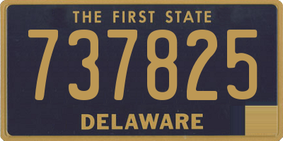 DE license plate 737825