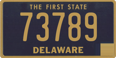 DE license plate 73789