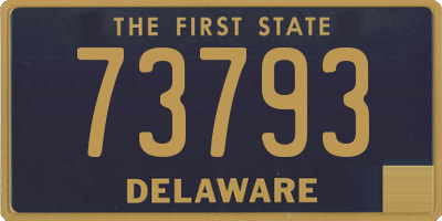 DE license plate 73793