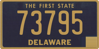 DE license plate 73795