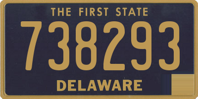 DE license plate 738293