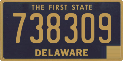 DE license plate 738309