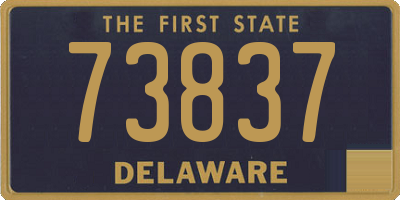 DE license plate 73837