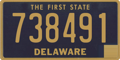 DE license plate 738491