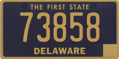 DE license plate 73858