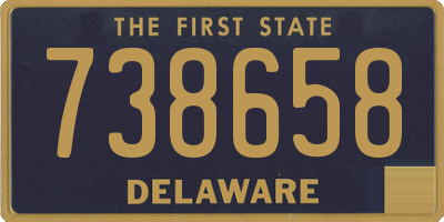 DE license plate 738658